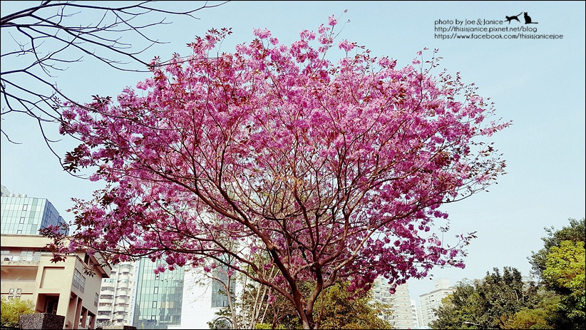 正史中纣王是一位功勋卓著的君主为什么总有人去黑化他“三亿体育官网”(图1) 三亿体育官网