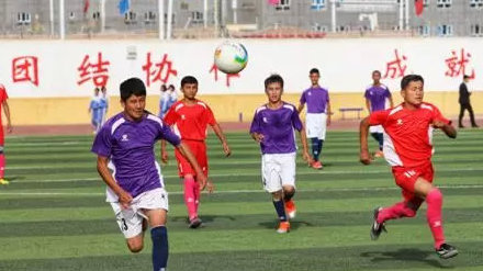 张丽华简介,张丽华怎么死的,张丽华复原图|三亿体育(图1) 三亿体育