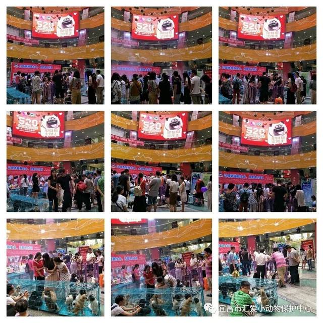 张丽华简介,张丽华怎么死的,张丽华复原图|三亿体育(图2) 三亿体育