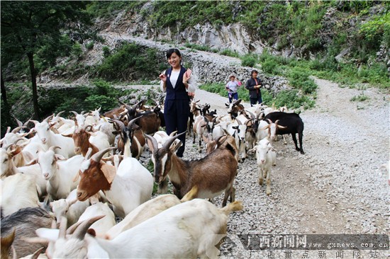 三亿体育手机版