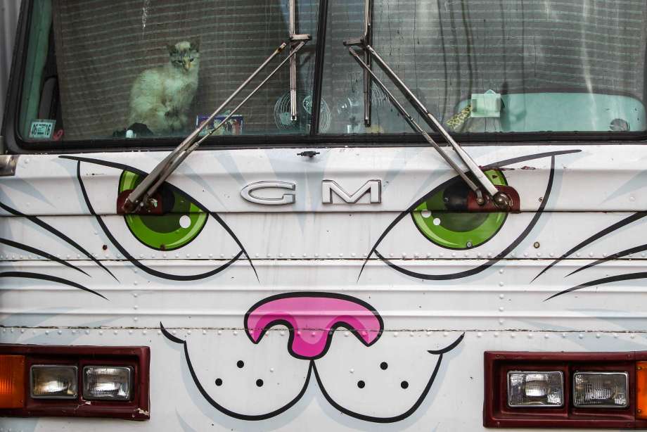 三亿体育手机版