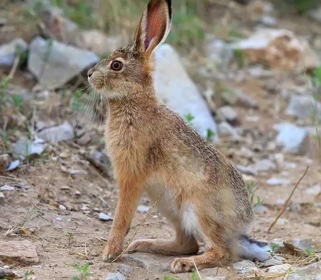 “三亿体育”济南市滨河新区规划公示(图1) 三亿体育