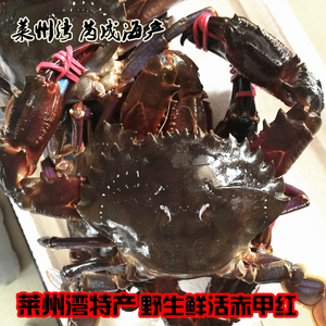 朝鲜暴君燕山君,七日的王妃燕山君历史原型 朝鲜暴君燕山君为什么被-三亿体育官网(图3) 三亿体育手机版