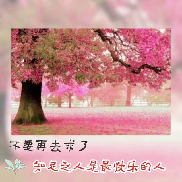 “三亿体育手机版”被“化公为私”的公园如何回归公益性(图1) 三亿体育官网