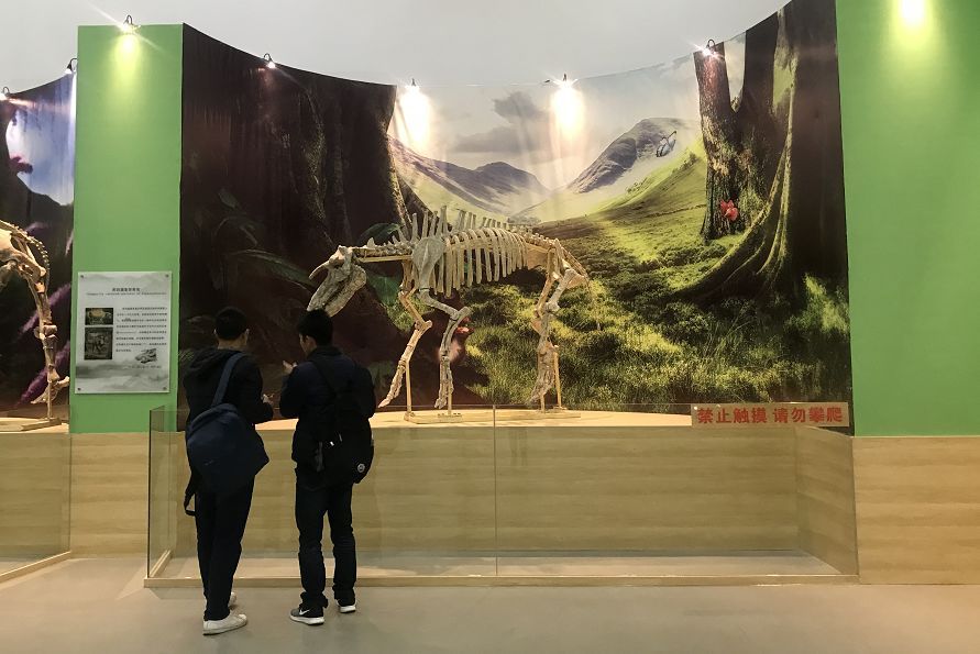 三亿体育|成都14所公益幼儿园改造完成(图2) 三亿体育