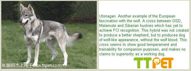 最新浦东新区示范幼儿园名单、招生划片范围、对口街道、对口社区居委“三亿体育官网”(图1) 三亿体育官网