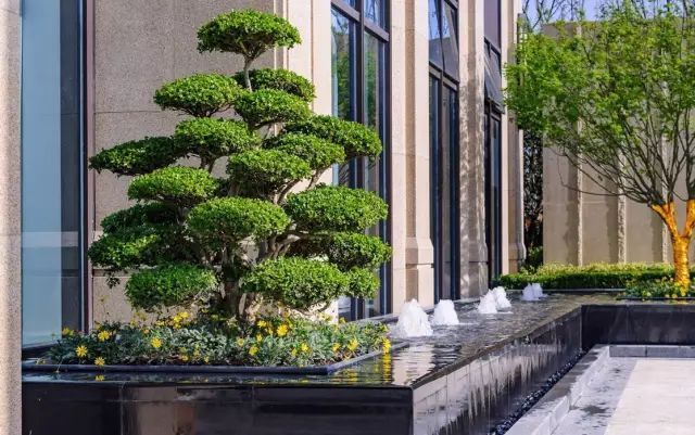 东光实验小学学子致敬最美逆行者_三亿体育官网(图2) 三亿体育官网