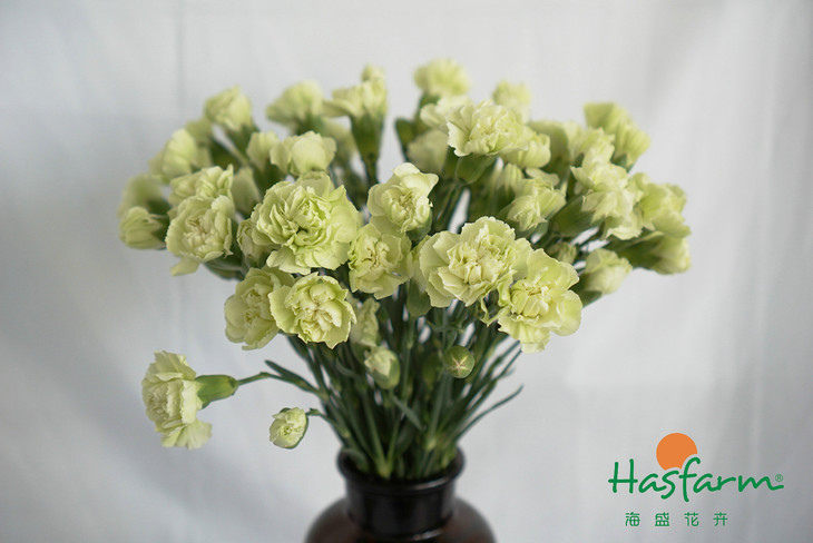 三亿体育手机版