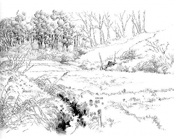 【三亿体育】住建部建设16个海绵城市